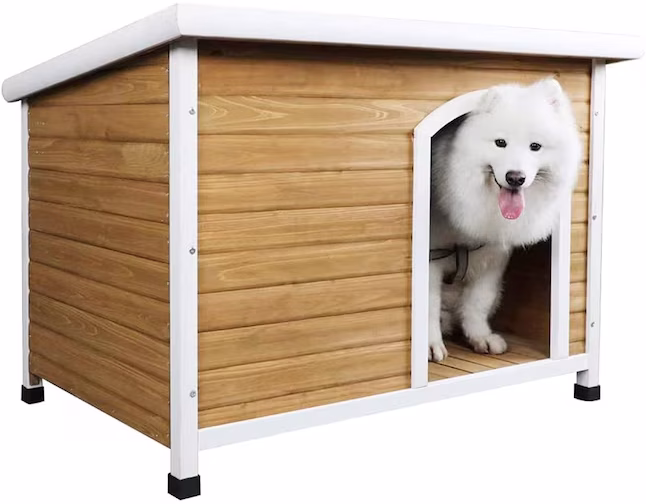 PETSFIT Wood Outdoor Dog
